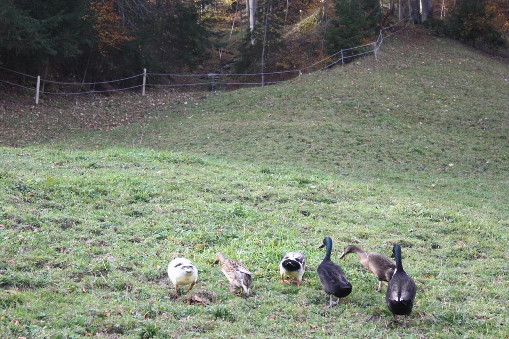 Alpenferienwohnungen Wiesenlehen Berchtesgaden Luaran gambar