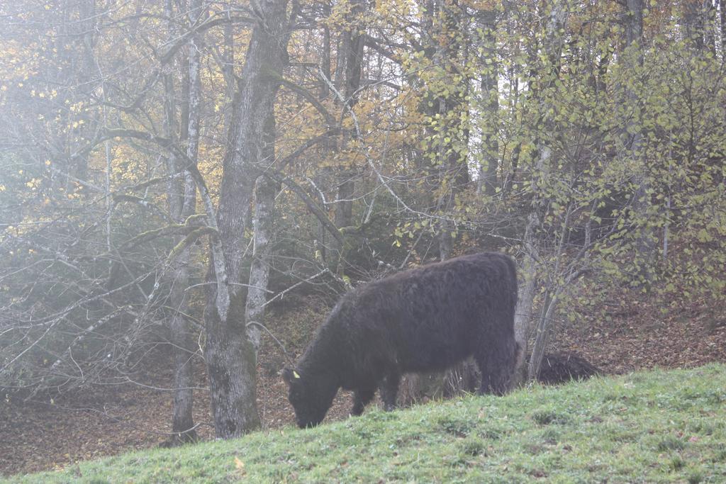 Alpenferienwohnungen Wiesenlehen Berchtesgaden Luaran gambar