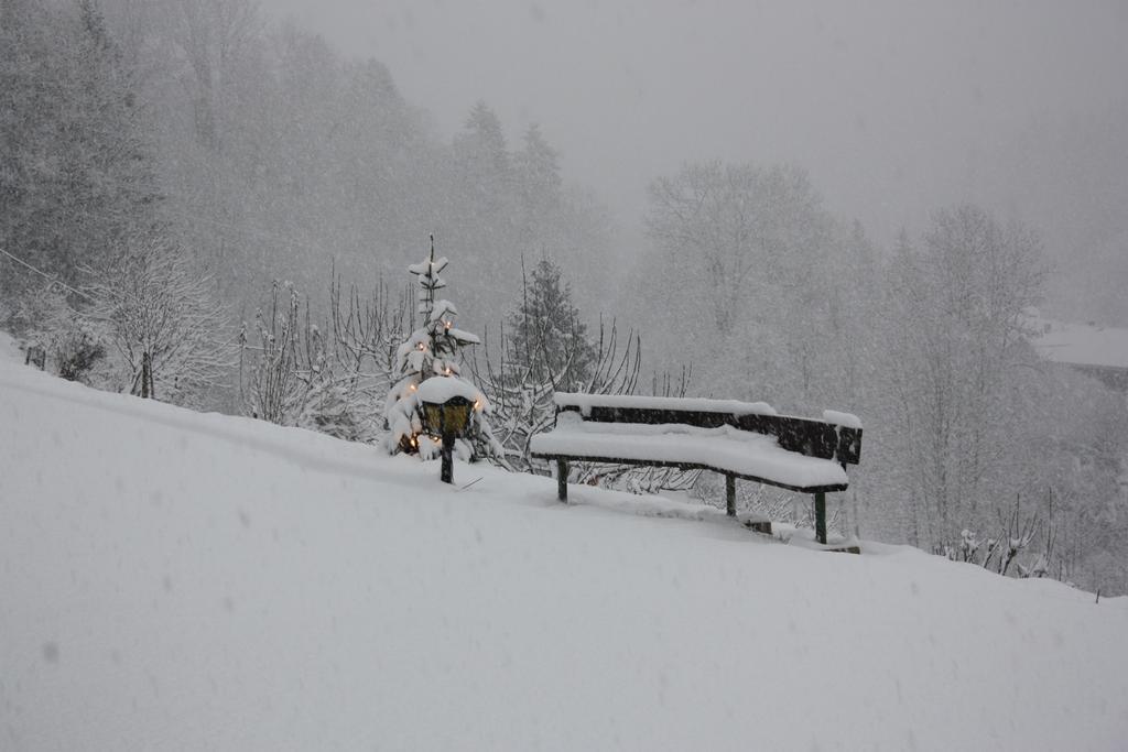 Alpenferienwohnungen Wiesenlehen Berchtesgaden Luaran gambar
